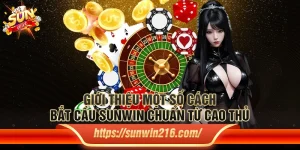 Giới Thiệu Một Số Cách Bắt Cầu Sunwin Chuẩn Từ Cao Thủ